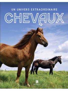 CHEVAUX, UN UNIVERS EXTRAORDINAIRE