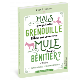 MAIS QUE FAIT CETTE GRENOUILLE TÊTUE DANS LE BÉNITIER ?