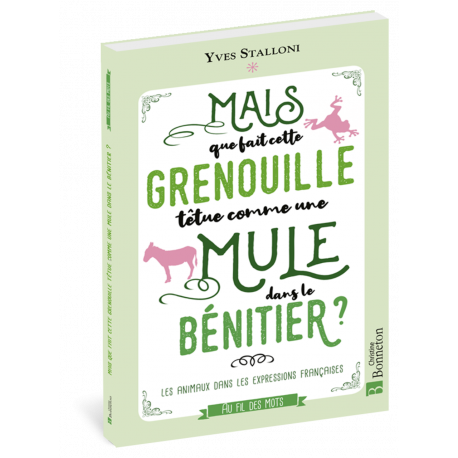 MAIS QUE FAIT CETTE GRENOUILLE TÊTUE DANS LE BÉNITIER ?