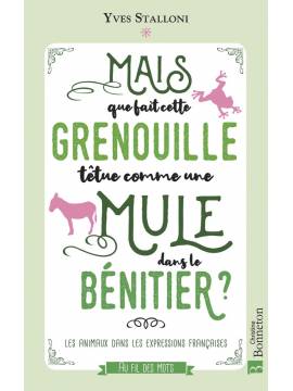 MAIS QUE FAIT CETTE GRENOUILLE TÊTUE DANS LE BÉNITIER ?